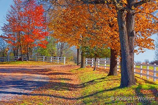 Millar Brooke Lane_24163.jpg - Photographed near Perth, Ontario, Canada.